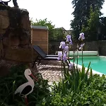 Familiale Avec Piscine Hunawihr, Proche De Ribeauville Et Colmar Tatil Evi