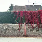 Familiale Avec Piscine - Ribeauvillé Hébergement de vacances *