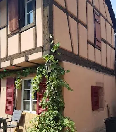 Familiale Avec Piscine - Ribeauville * Hunawihr