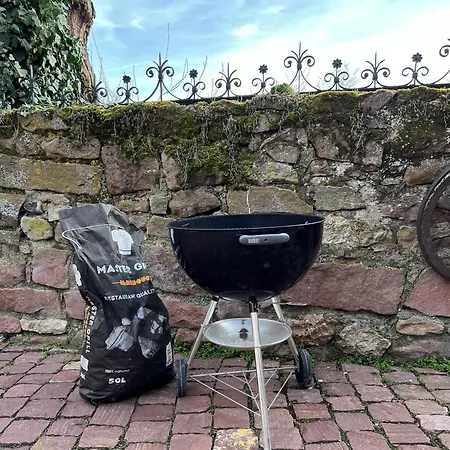 Familiale Avec Piscine - Ribeauvillé Hébergement de vacances Hunawihr