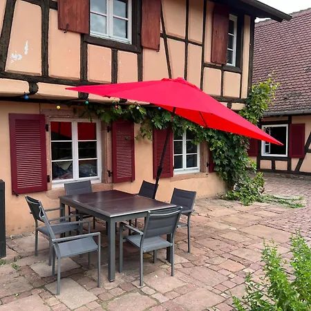 Familiale Avec Piscine - Ribeauvillé Hébergement de vacances