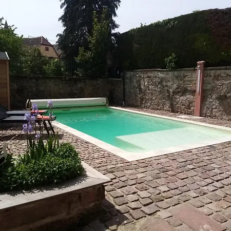 Familiale Avec Piscine - Ribeauvillé Hébergement de vacances *