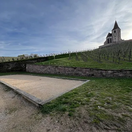 Familiale Avec Piscine Hunawihr, Proche De Ribeauville Et Colmar 펜션 *