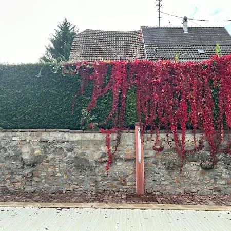 Familiale Avec Piscine Hunawihr, Proche De Ribeauville Et Colmar 펜션 *