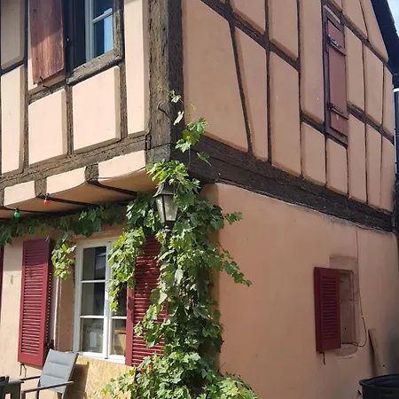 펜션 Familiale Avec Piscine Hunawihr, Proche De Ribeauville Et Colmar